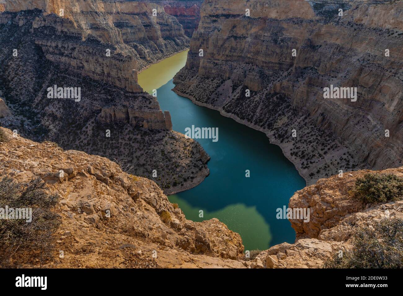 Blick auf den Bighorn Lake vom Devil Canyon Overlook, Bighorn Canyon National Recreation Area, in der Nähe von Lovell, Wyoming, USA Stockfoto