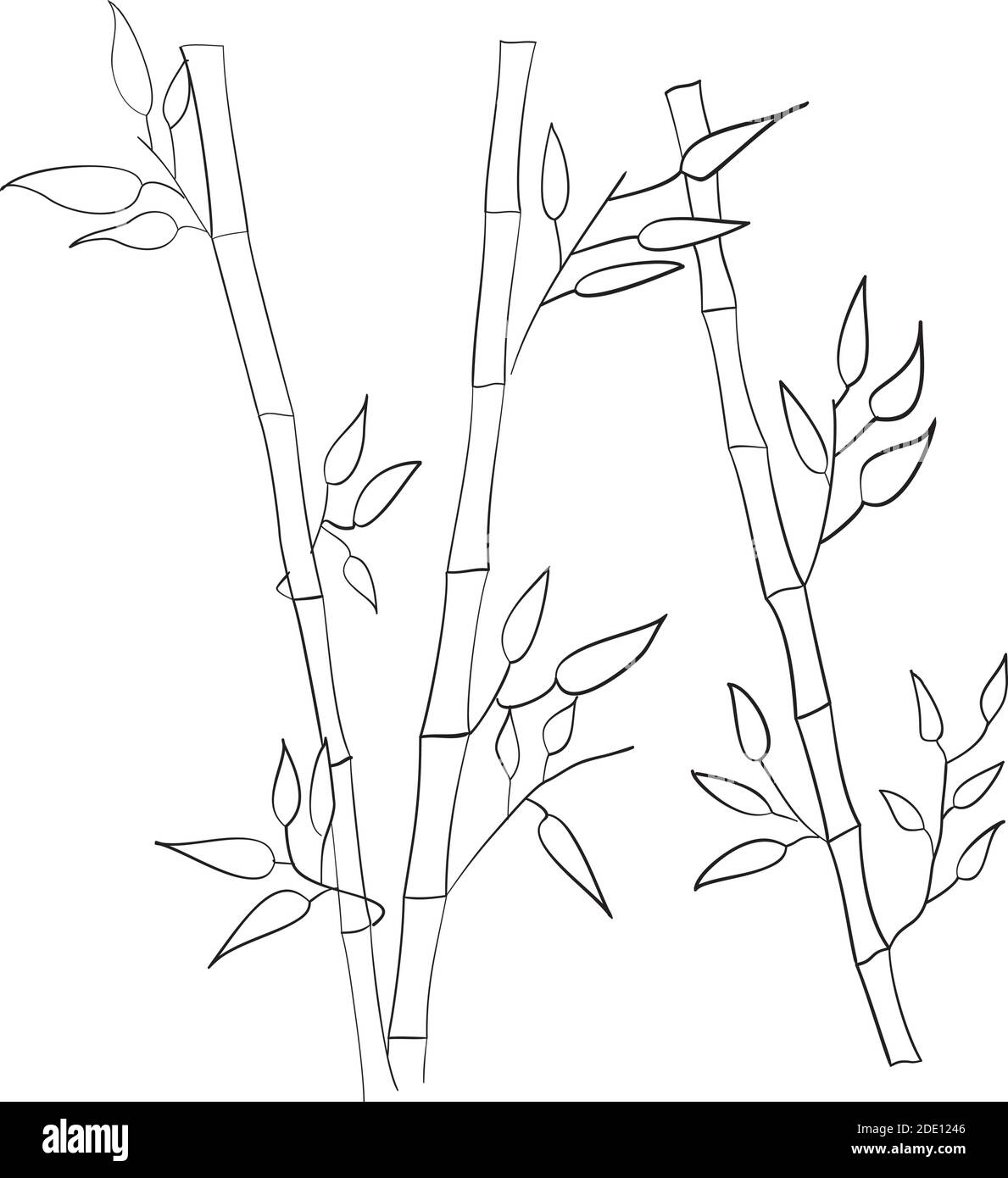Handbemalte dekorative Bambus-Stämme mit Blättern auf weißem Hintergrund - Vektor-Illustration. Stock Vektor