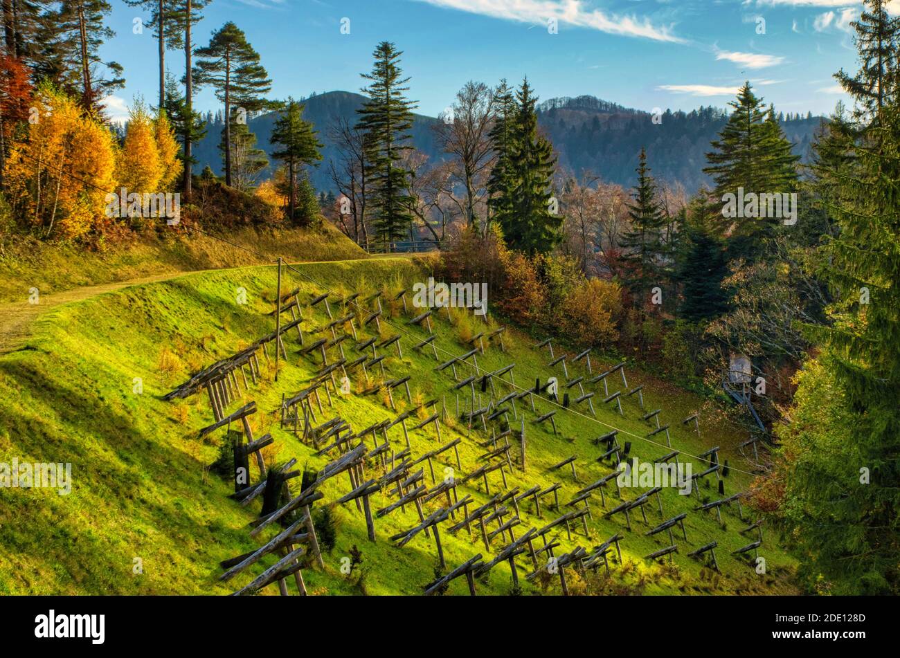 Lawinenbarrieren im Tössstock, Fischenthal im Zürcher Oberland, Hangbau im Hügelland Zürich Stockfoto