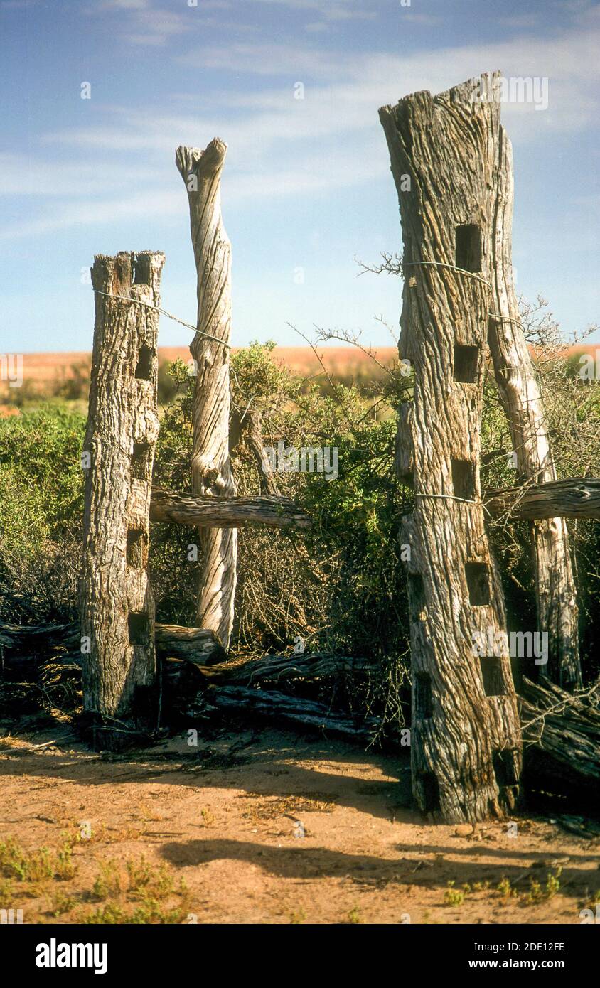 Zerstörte Lagerplatz in Dalhousie Springs am westlichen Rand der Simpson Desert, South Australia Stockfoto