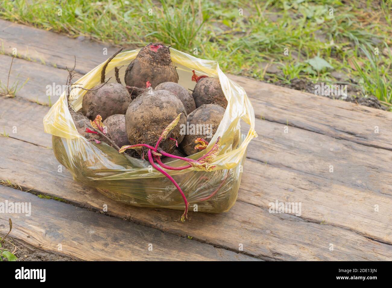 Rote Bete auf Holzhintergrund in einem Beutel. Die Vorteile des Rote Bete Konzepts Stockfoto