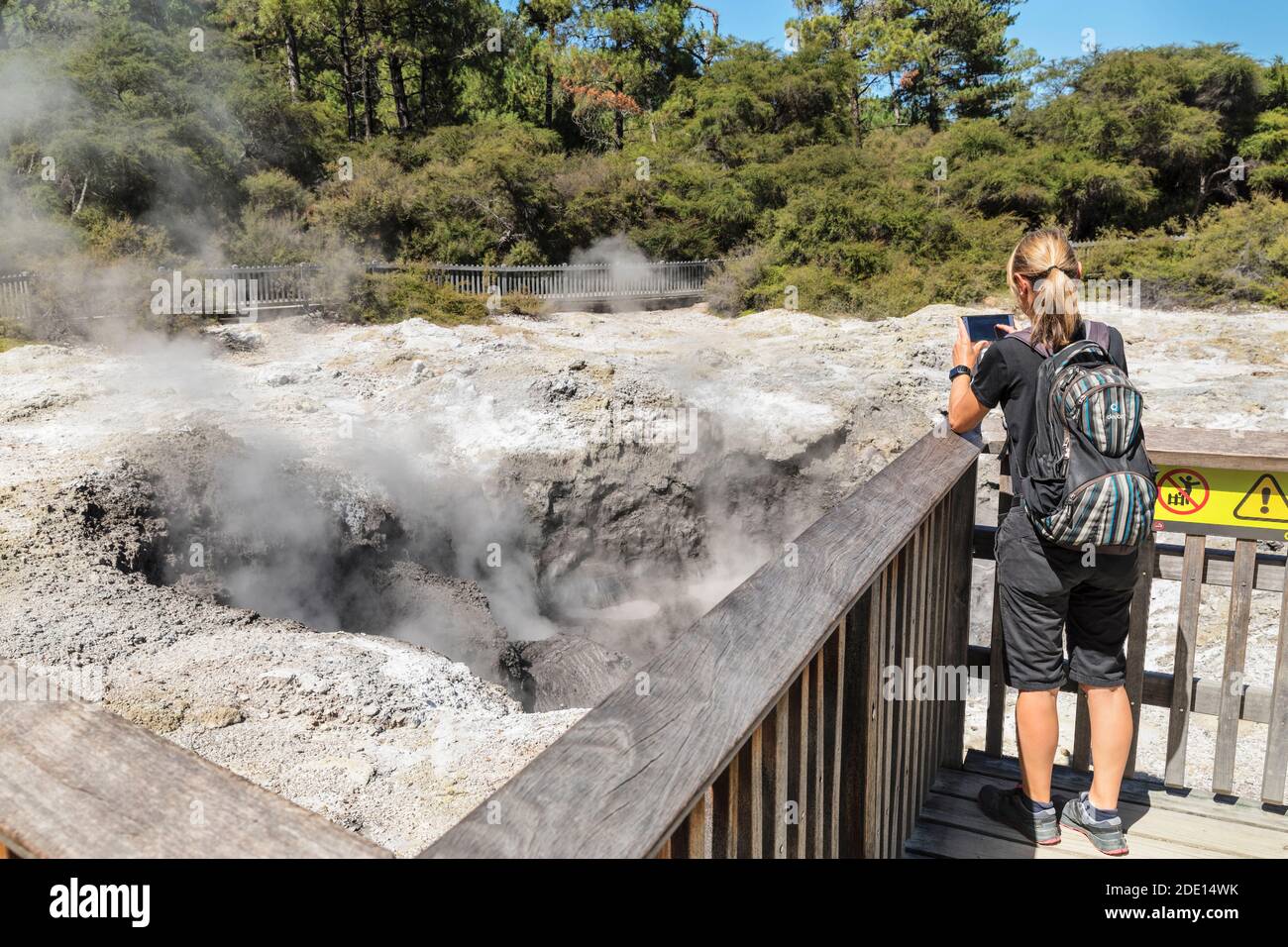Wai-O-Tapu Thermal Wonderland, Rotorua, Bay of Plenty, Nordinsel, Neuseeland, Pazifik Stockfoto