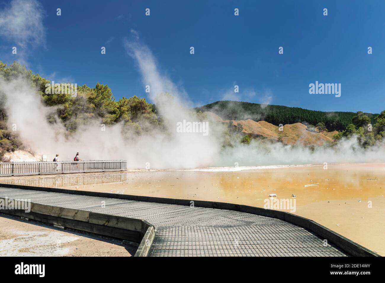 Champagner-Pool, Wai-O-Tapu Thermal Wonderland, Rotorua, Bay of Plenty, Nordinsel, Neuseeland, Pazifik Stockfoto