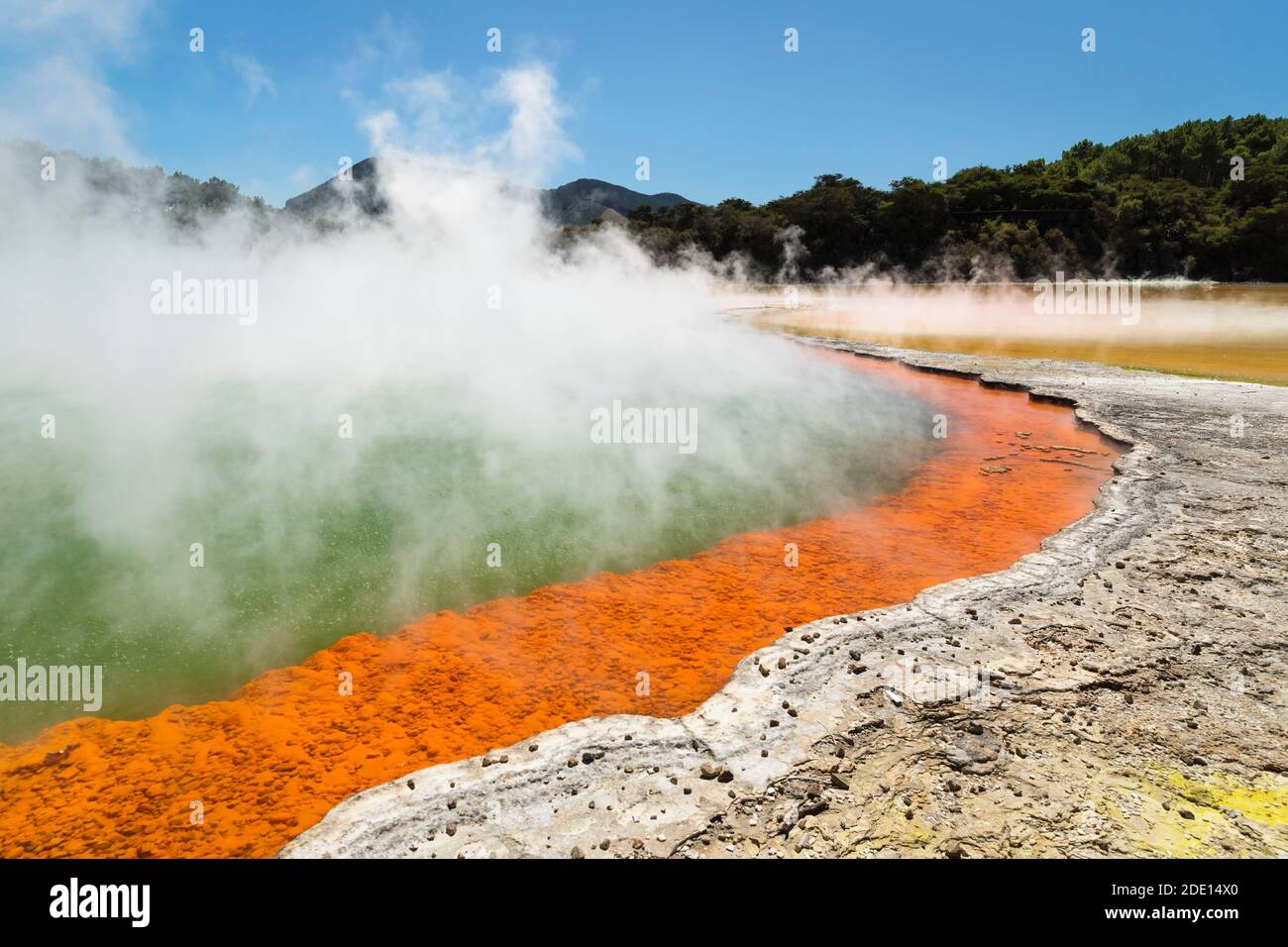 Champagner-Pool, Wai-O-Tapu Thermal Wonderland, Rotorua, Bay of Plenty, Nordinsel, Neuseeland, Pazifik Stockfoto