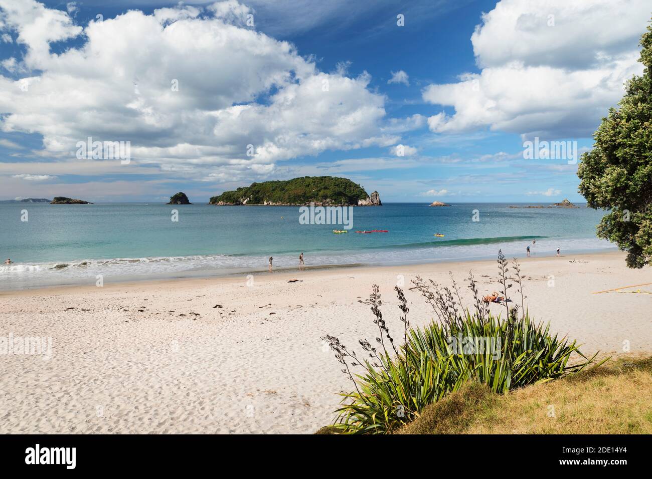 Hahei Beach, Coromandel Peninsula, Waikato, Nordinsel, Neuseeland, Pazifik Stockfoto