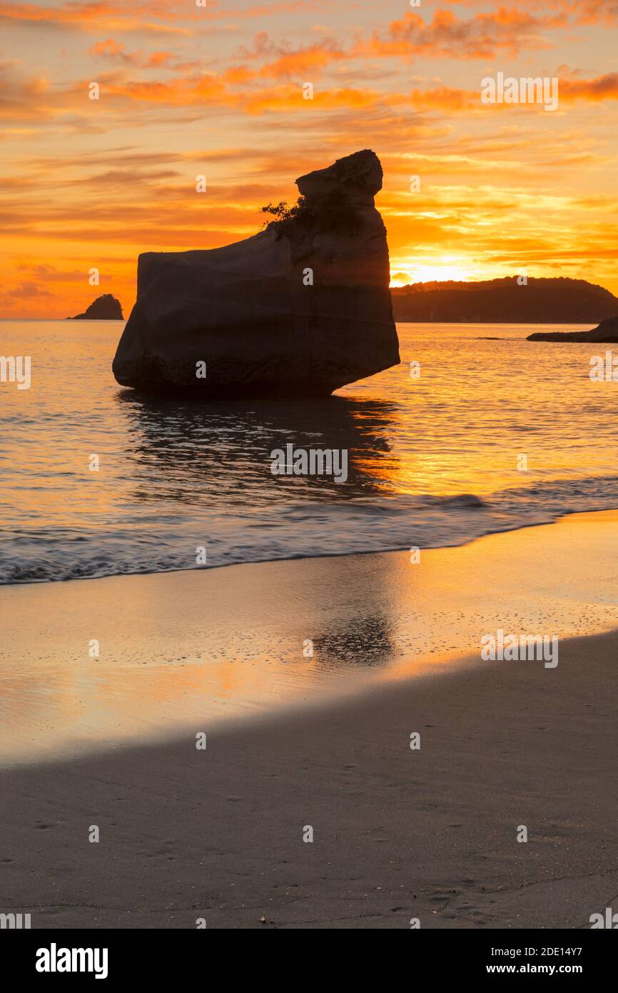 Strand von Mare's Leg Cove, Cathedral Cove Marine Reserve, Coromandel Peninsula, Waikato, Nordinsel, Neuseeland, Pazifik Stockfoto