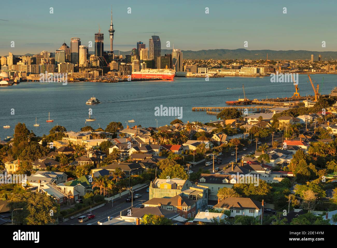 Blick von Devonport auf die Skyline von Auckland bei Sonnenaufgang, Nordinsel, Neuseeland, Pazifik Stockfoto
