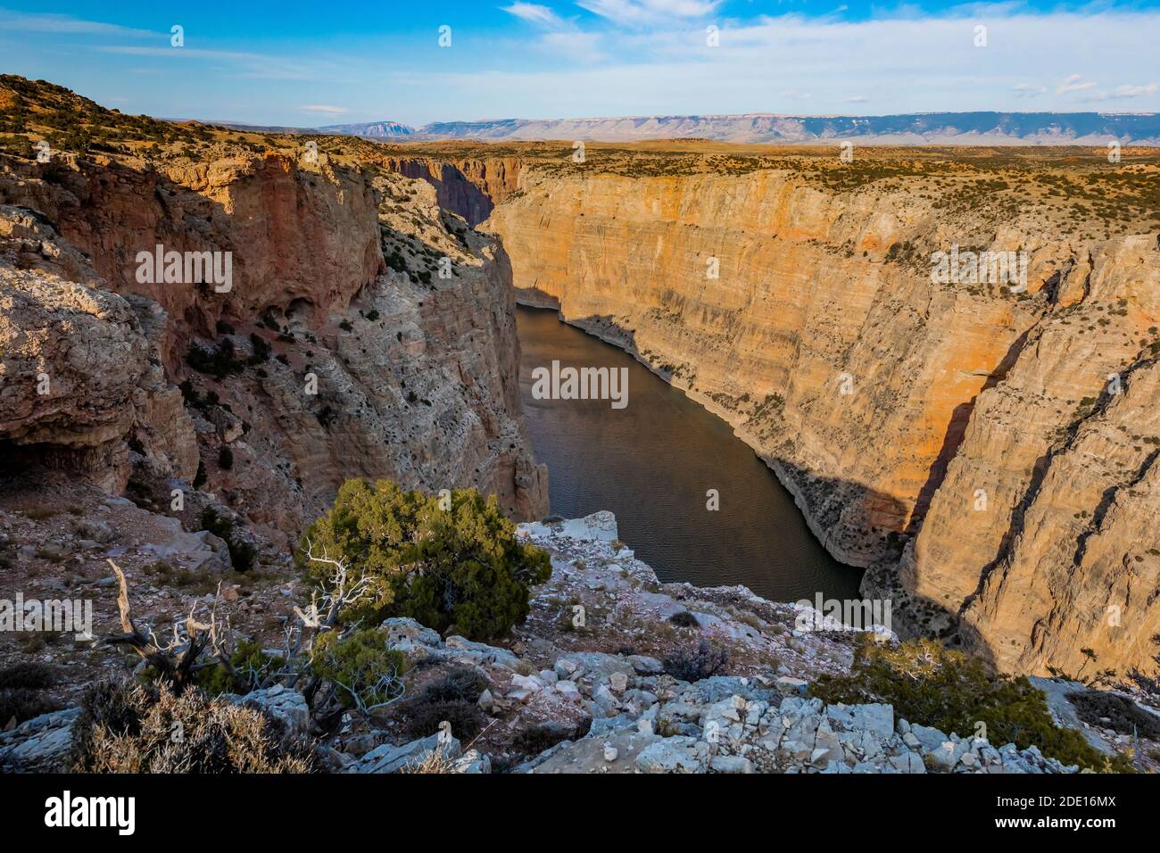 Dramatischer Blick auf den Bighorn Canyon vom Sullivan's Knob Trail im Bighorn Canyon National Recreation Area, in der Nähe von Lovell, Wyoming, USA Stockfoto