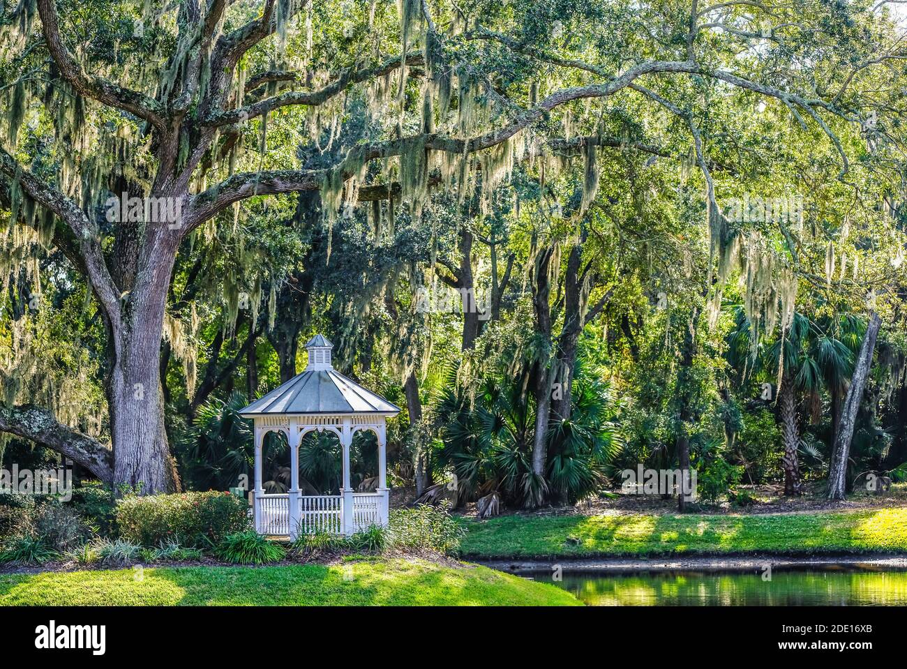 Weißer Pavillon Unter Spanischem Moos Stockfoto