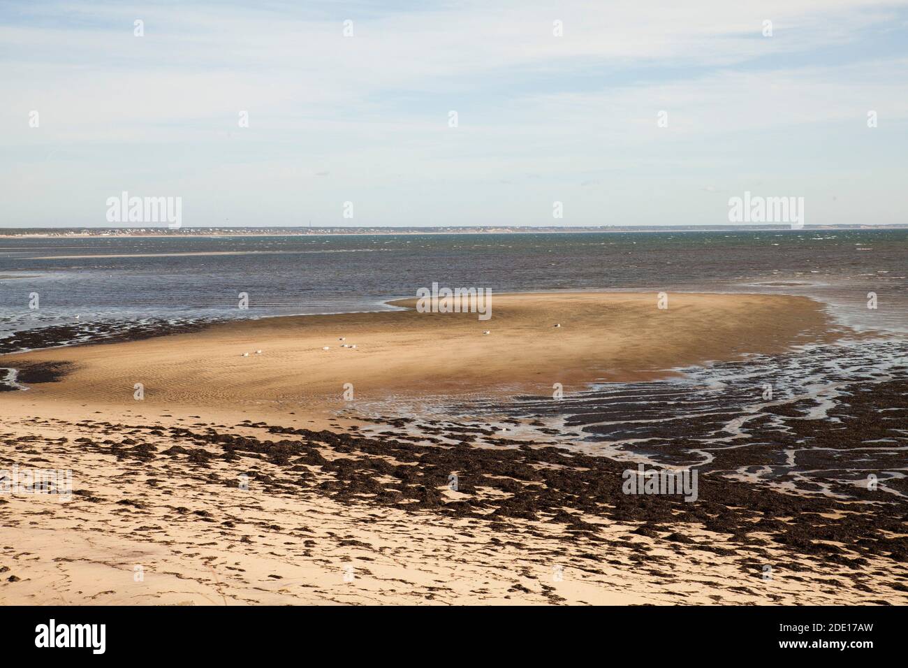 Ebbe auf Cape Cod Bay in Provincetown, Massachusetts, mit Blick auf North Truro in der Ferne. Stockfoto
