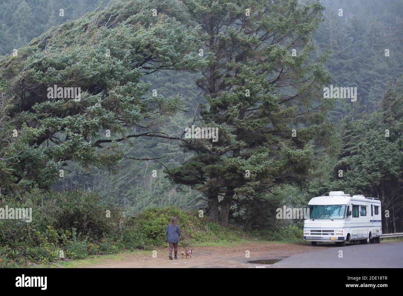 Eine Frau und ein Hund gehen in der Nähe eines großen, älteren Freizeitwagens an der Küste von Oregon in der Nähe von Cape Perpetua. Stockfoto