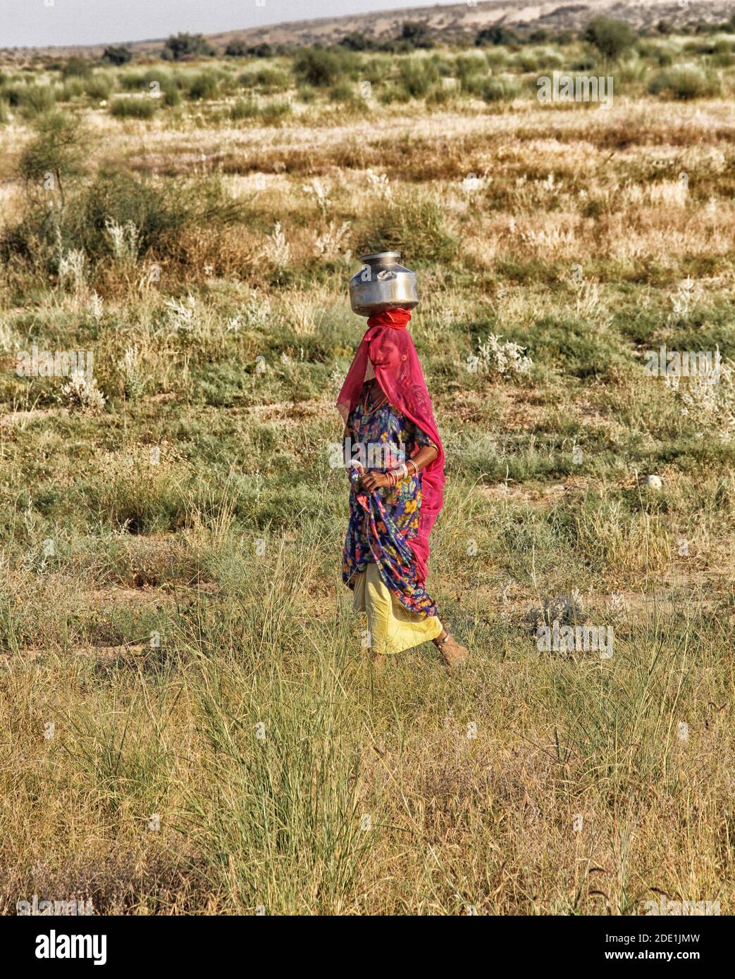 ZIGEUNERFRAUEN - RAJASTAN INDIEN Stockfoto