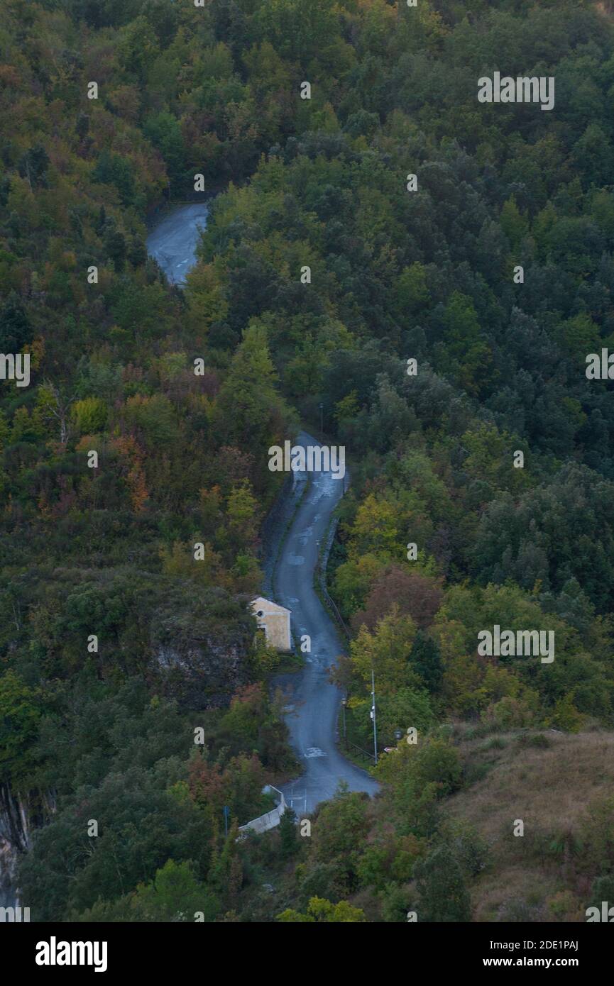 Straße in den Wald Stockfoto