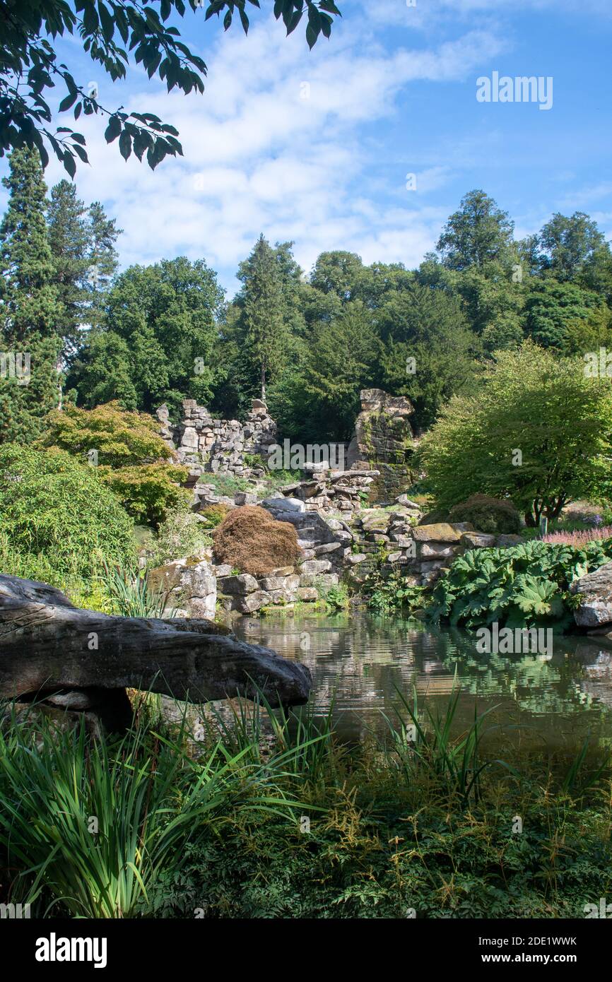 Pool im Garten mit großen Felsen und Gunnera Pflanze Stockfoto