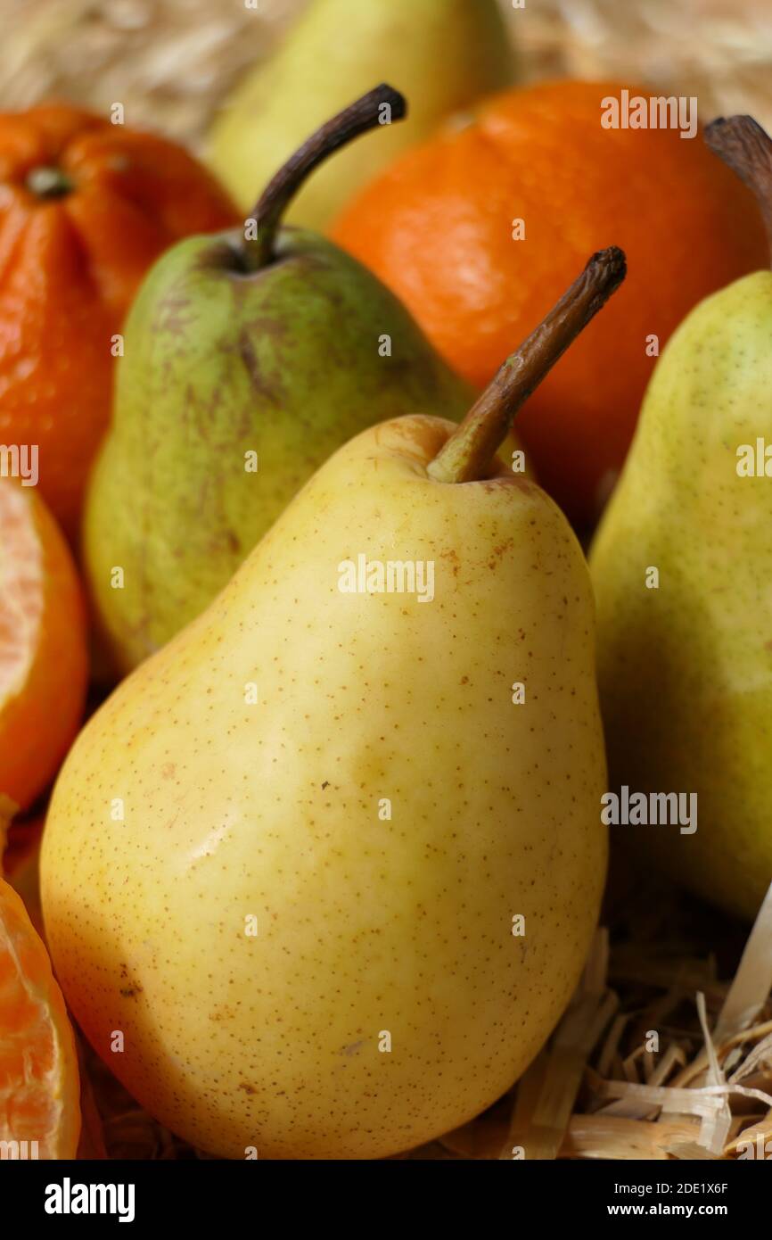 Stimmungsvolles Bild mit bunten saftigen Herbstfrüchten - Birnen und Mandarinen Stockfoto