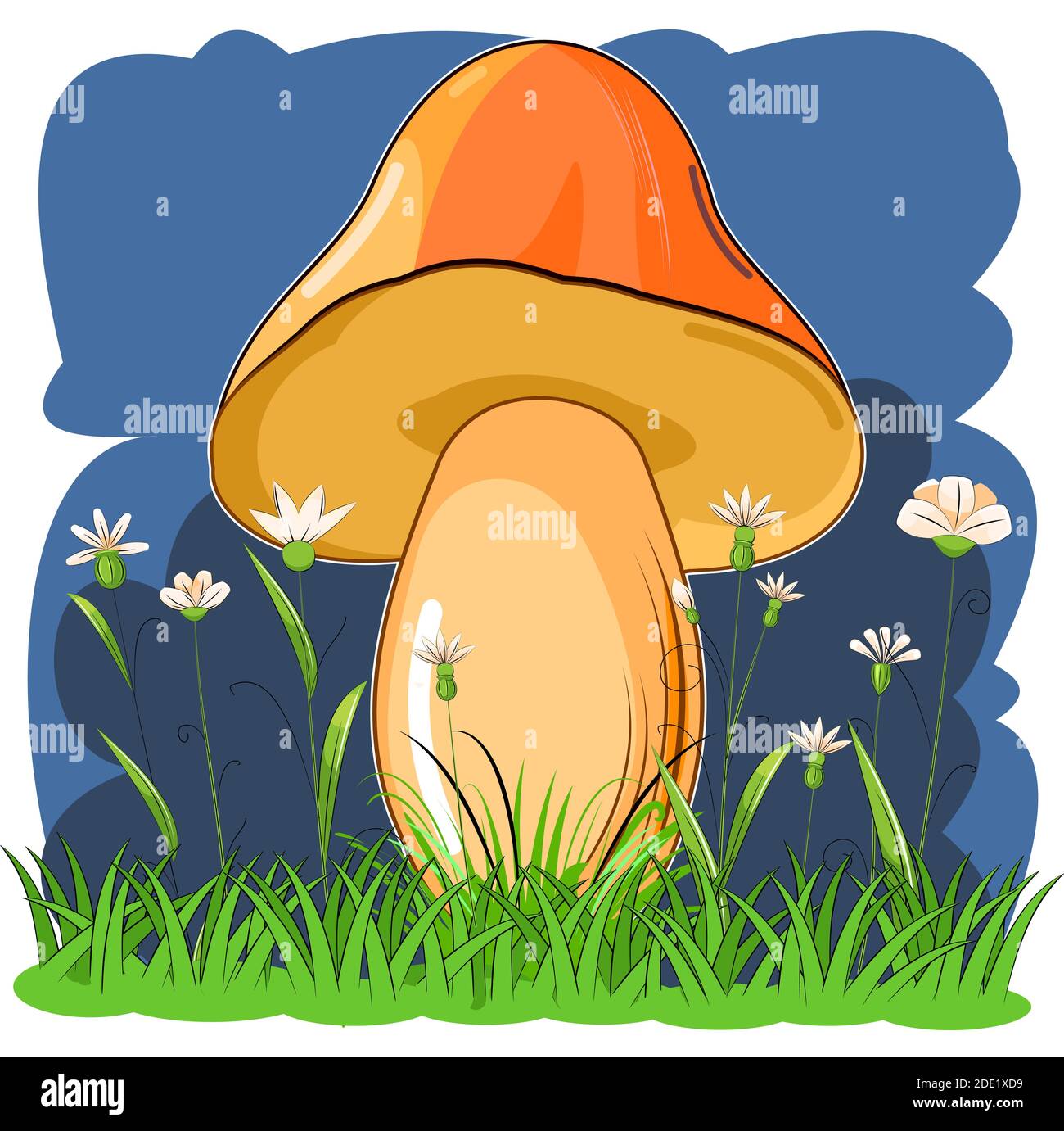 Orangenpilz auf dem Hintergrund einer nächtlichen blühenden Wiese. Flacher Cartoon-Stil. Landskape Wildblumen und Gras. Isoliert. Wunderschöner kleiner Wald Stock Vektor