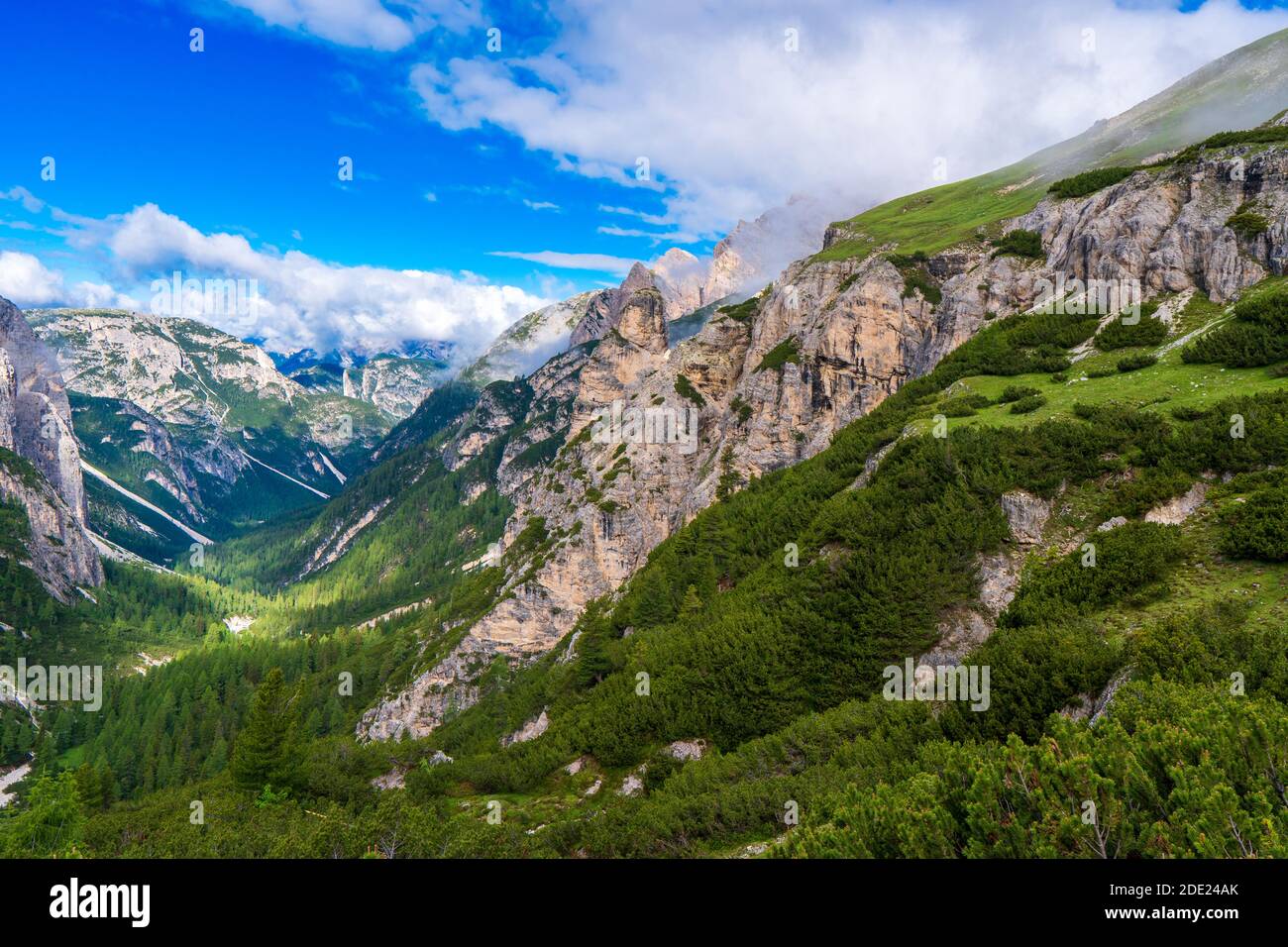 Blick über ein tiefes V-förmiges, bewaldetes Tal zum spektakulären Tre Cime in den norditalienischen Dolmen Stockfoto