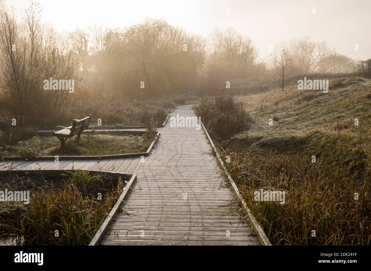 Nebliger Spaziergang am Brett, frostiges Morgenlicht Stockfoto