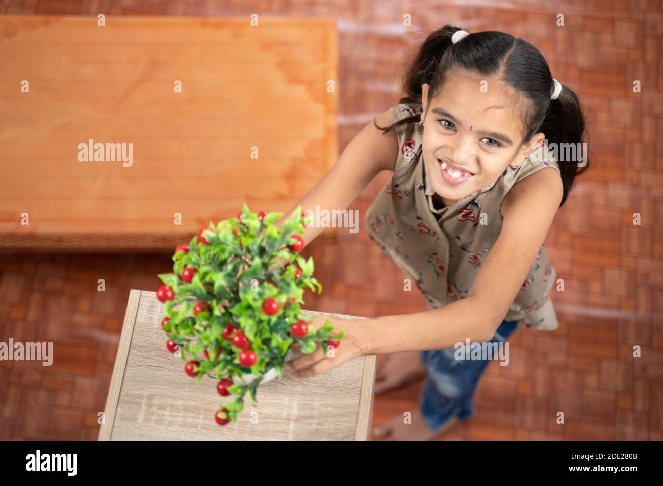 High-Angle-Ansicht, selektive Fokus auf Mädchen kleines Mädchen Anordnung Baumkrug auf Regal während zu Hause Ersatz oder Verbesserung. Stockfoto