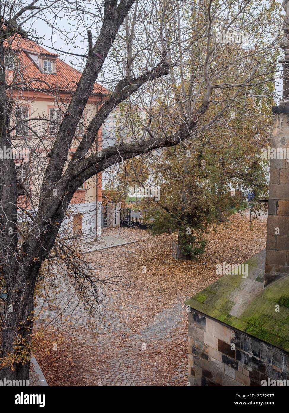Kampa Park im Herbst von oben von Charles aus gesehen Brücke Stockfoto