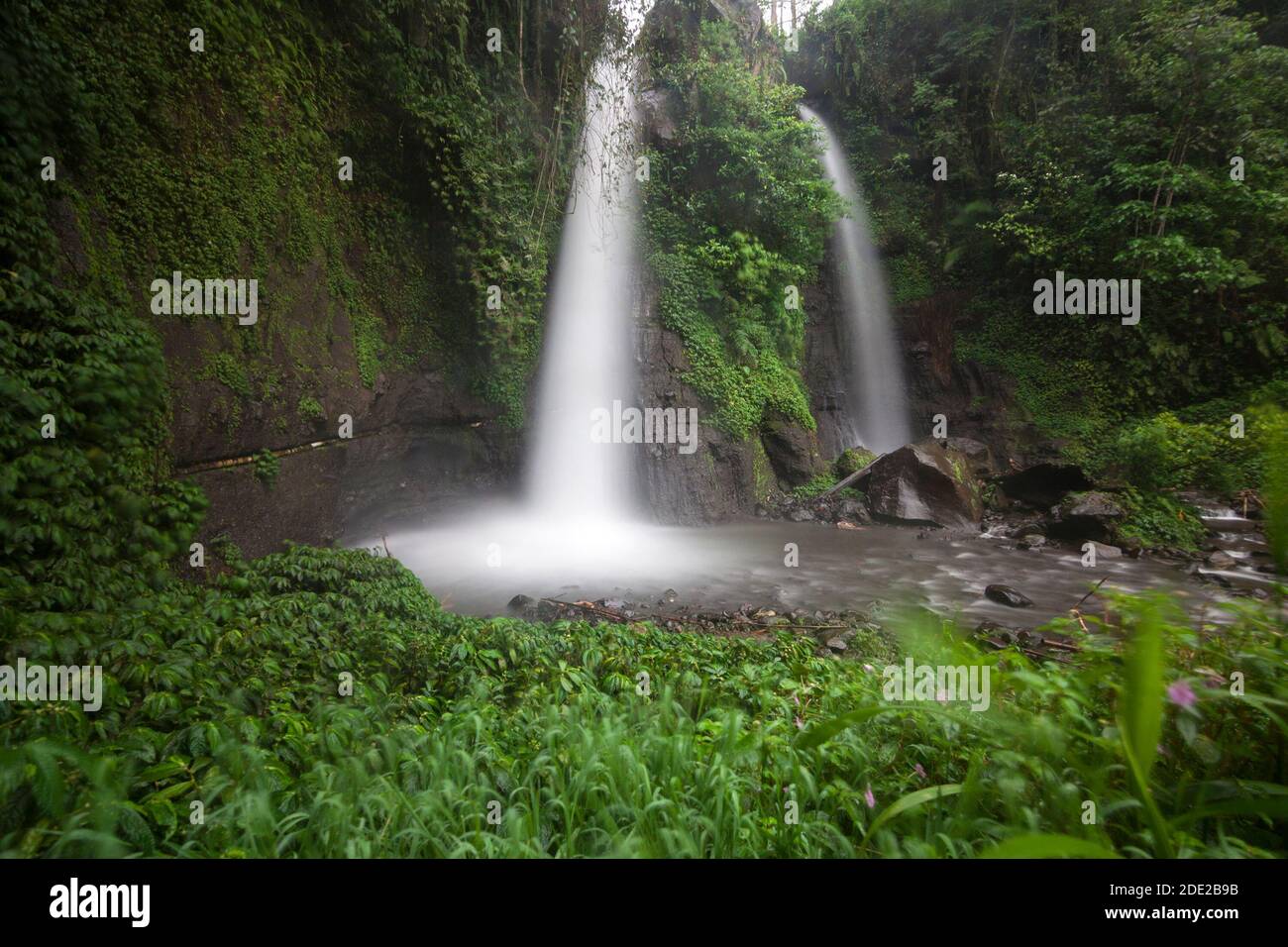Tirto Kemanten Wasserfall im Dorf Wonorejo, Bezirk Banyuwangi. Stockfoto