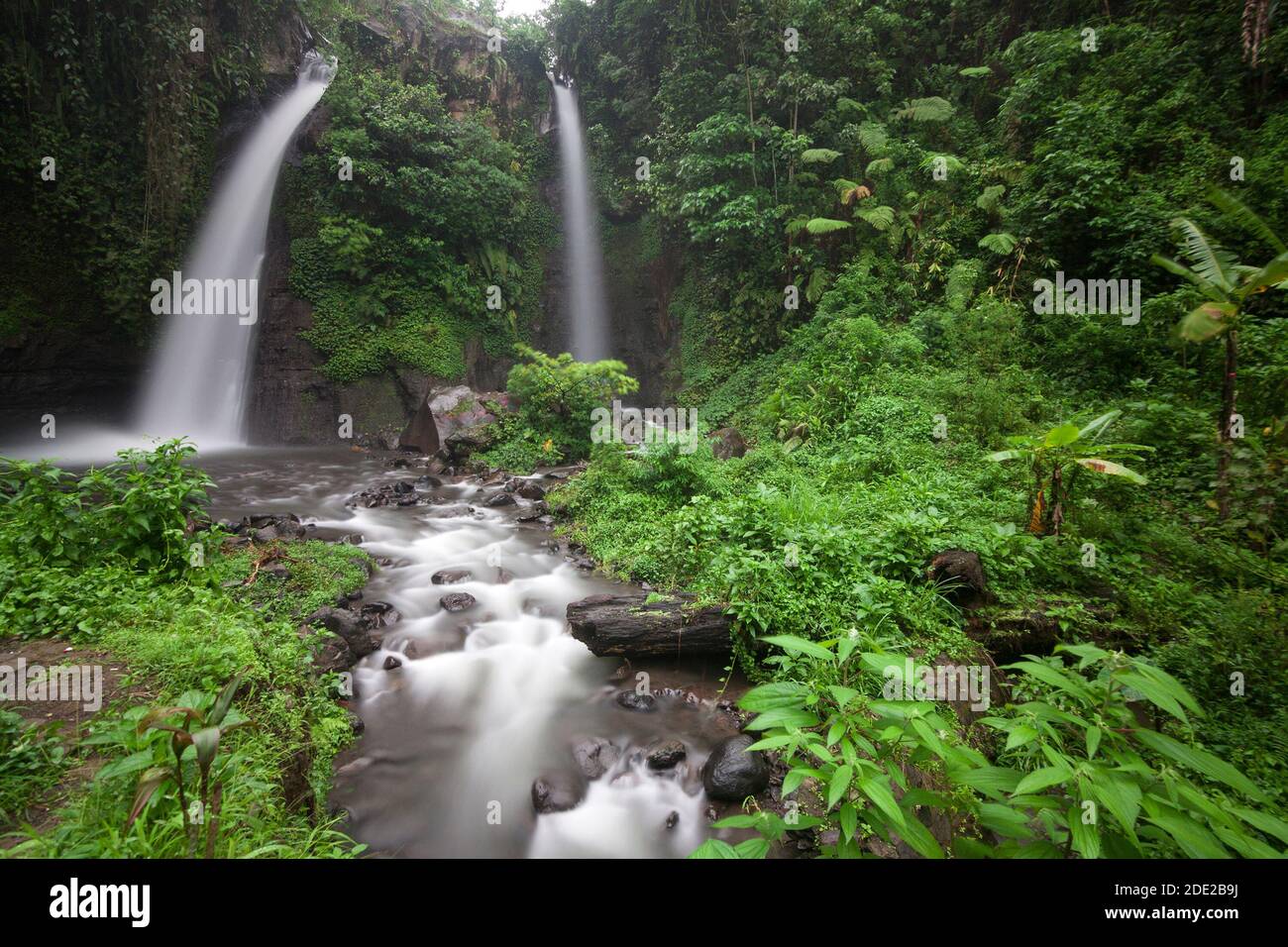 Tirto Kemanten Wasserfall im Dorf Wonorejo, Bezirk Banyuwangi. Stockfoto