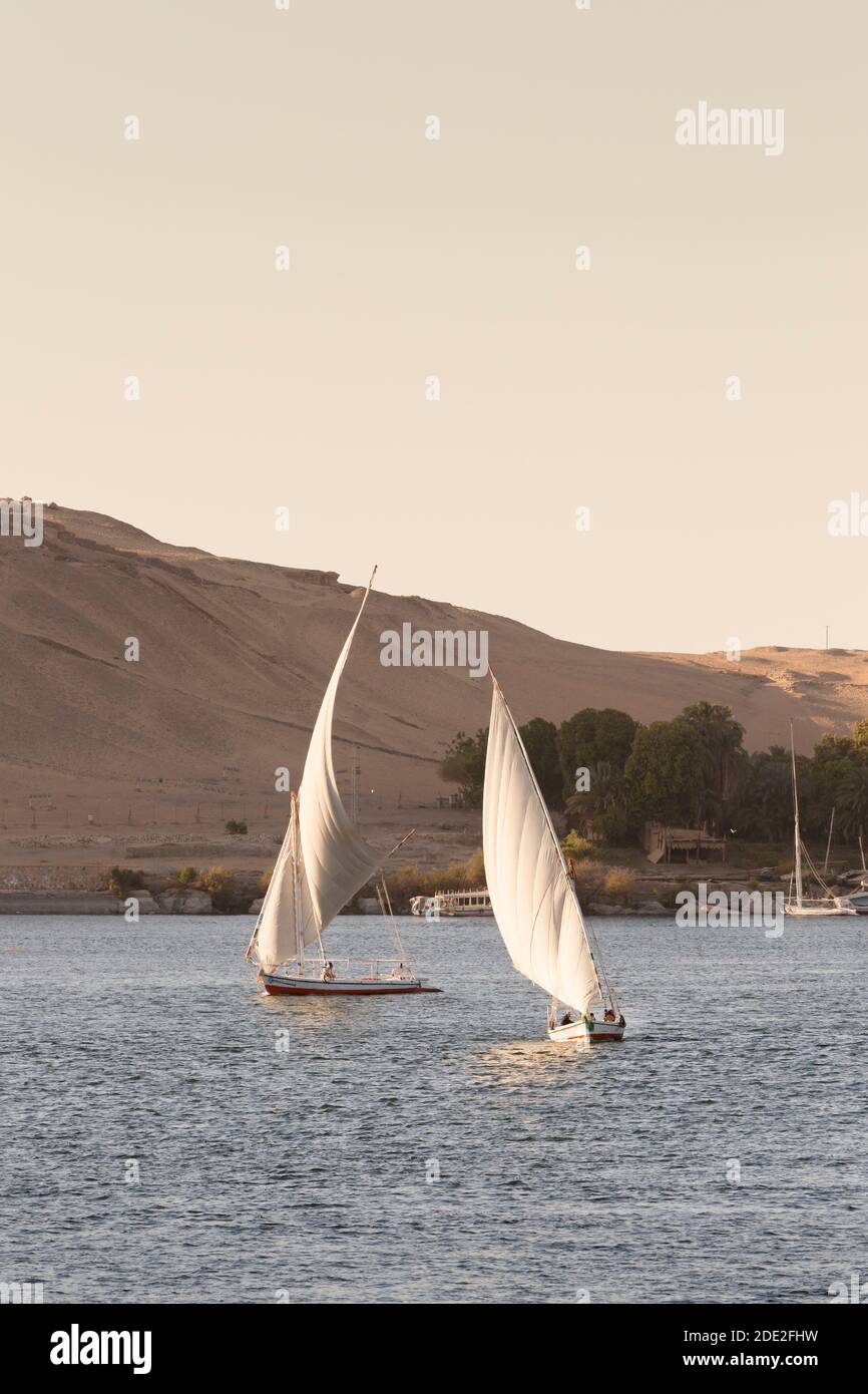Feluccas auf dem Nil, Assuan, Ägypten Stockfoto
