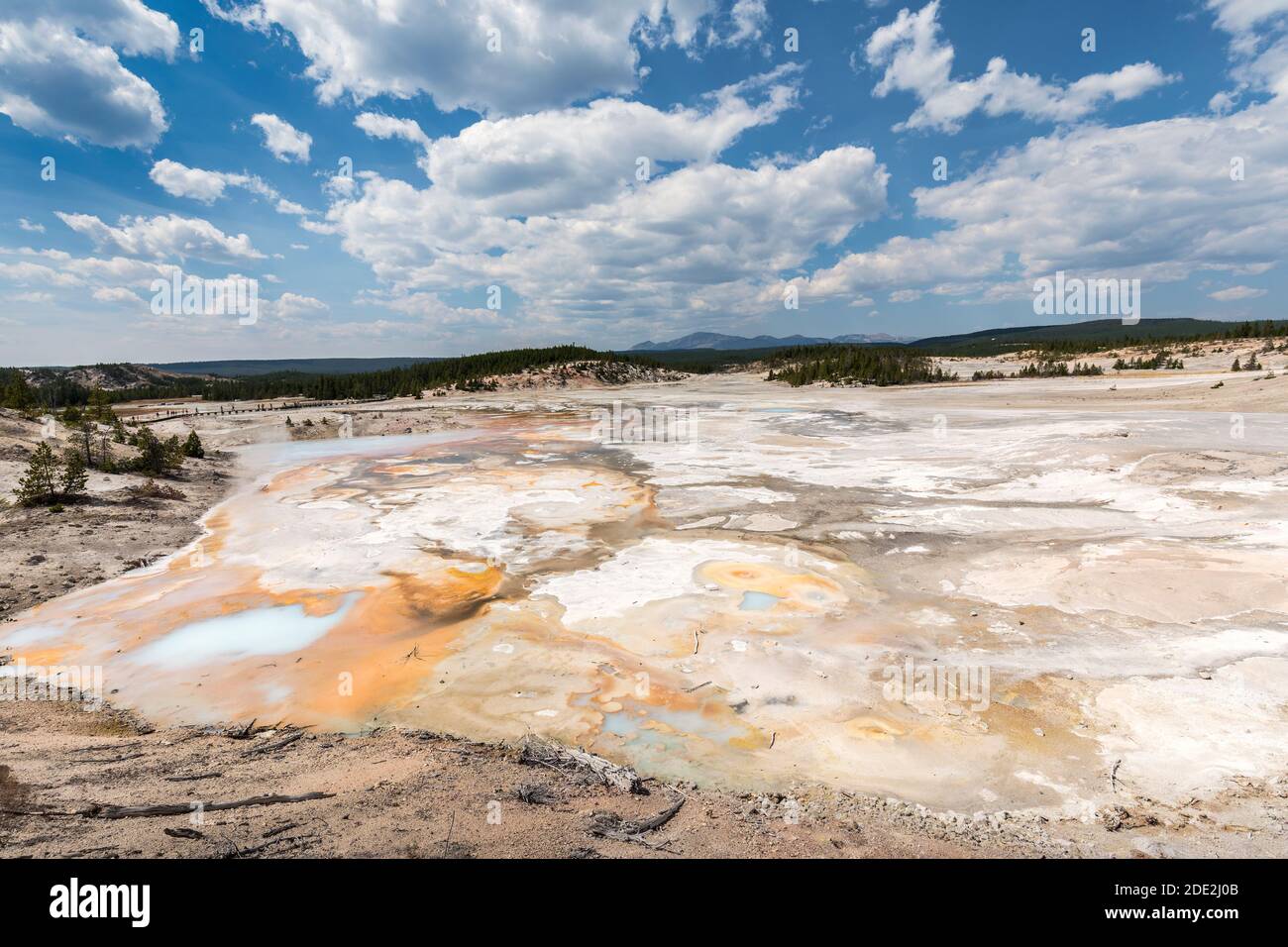 Norris Geyser Basin, Yellowstone-Nationalpark, Wyoming, USA Stockfoto