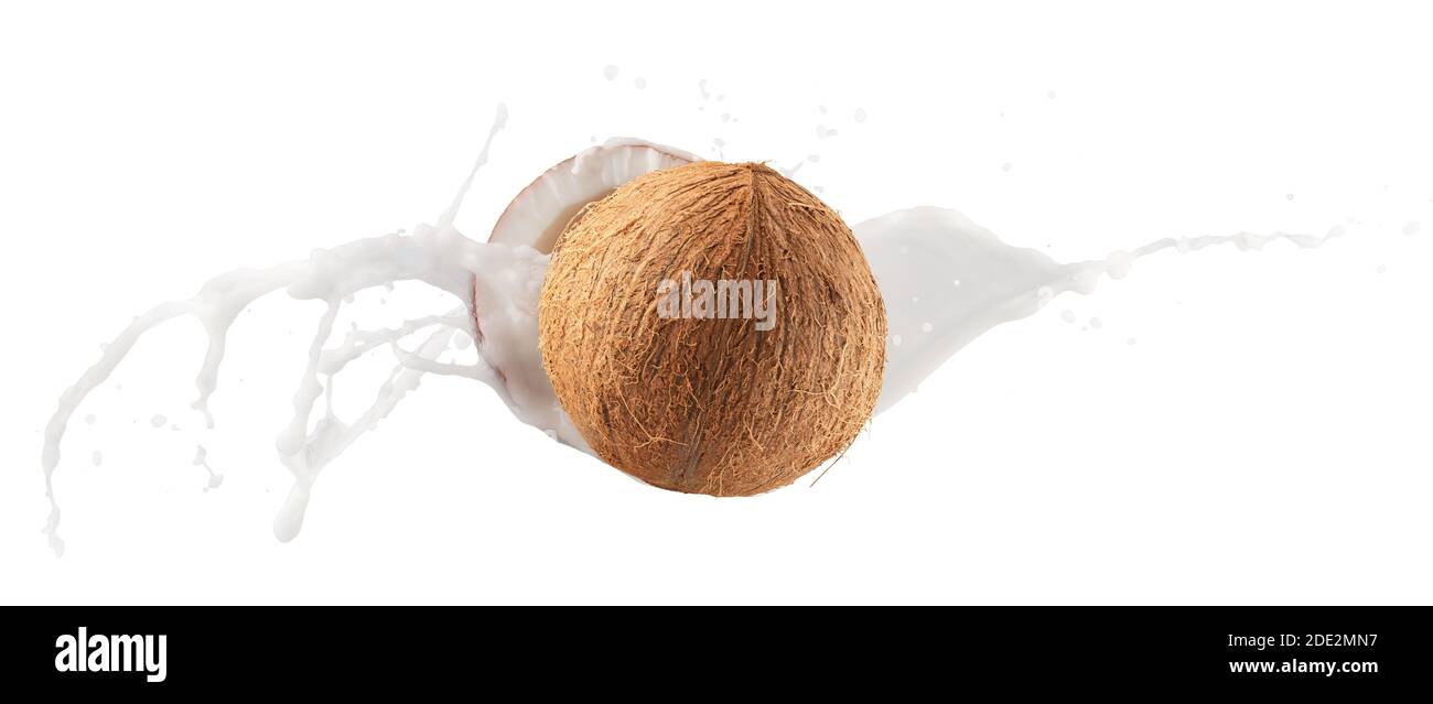 Kokosnüsse mit Milchspritzer isoliert auf weißem Hintergrund. Stockfoto