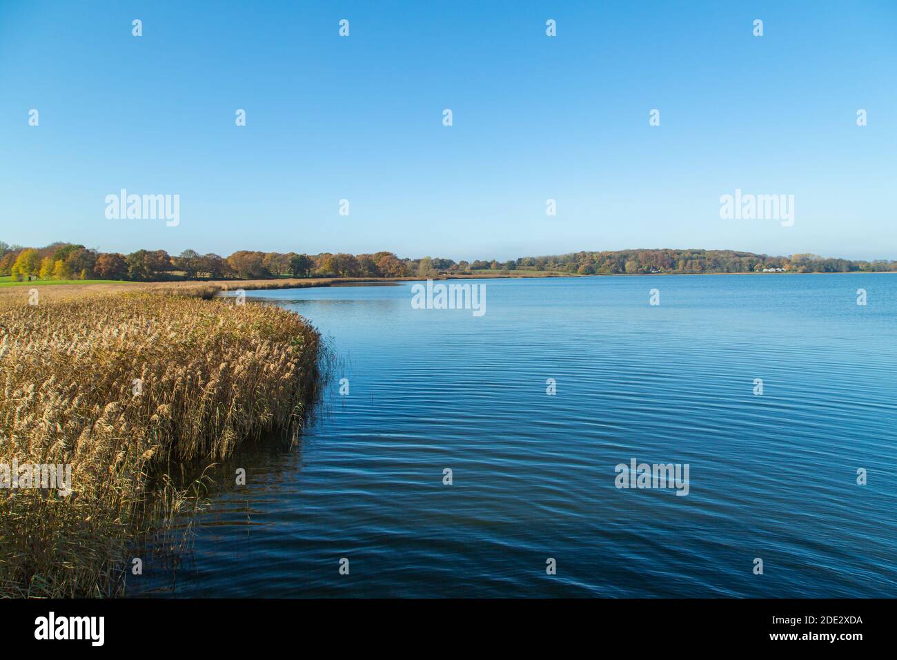 Modernes Wikingermuseum Haithabu, Busdorf bei Schleswig, Haddebyer Noor, Schleiregion, touristisches Highlight, Schleswig-Holstein, Norddeutschland, Europa Stockfoto