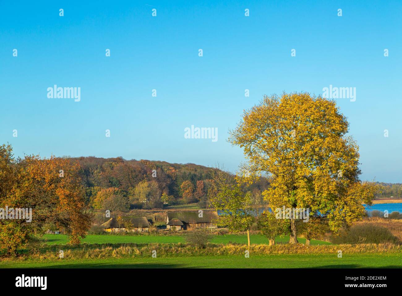 Modernes Wikingermuseum Haithabu, Busdorf bei Schleswig, Haddebyer Noor, Schleiregion, touristisches Highlight, Schleswig-Holstein, Norddeutschland, Europa Stockfoto