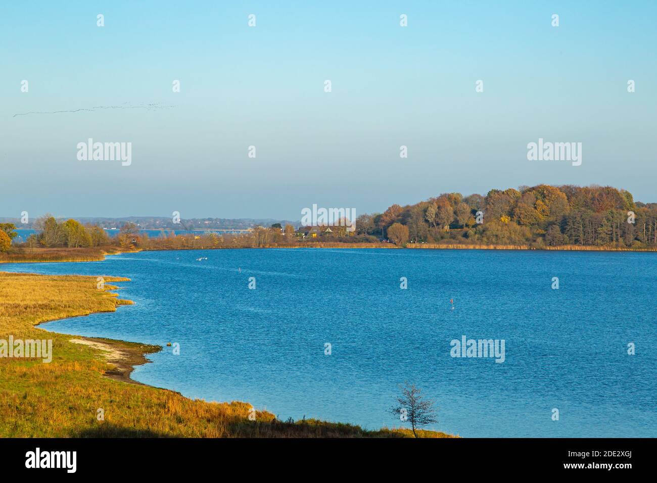 Modernes Wikingermuseum Haithabu, Busdorf bei Schleswig, Haddebyer Noor, Schleiregion, touristisches Highlight, Schleswig-Holstein, Norddeutschland, Europa Stockfoto