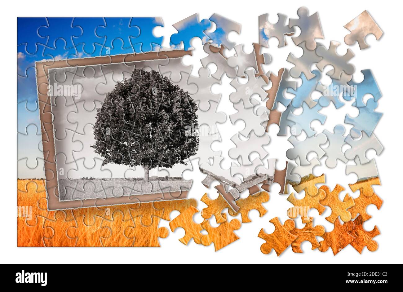 Planen Sie Ihren Urlaub in der Toskana - ein isolierter Baum in der Toskana Landschaft (Italien) - Konzept in Puzzleform Stockfoto
