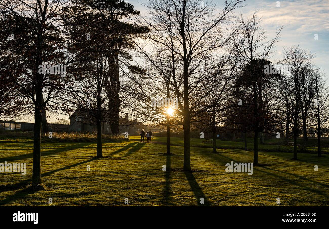 East Lothian, Schottland, Großbritannien, 28. November 2020. UK Wetter: Ein klarer Himmel an einem kühlen Tag mit Sonnenuntergang hinter Bäumen auf dem Archerfield Anwesen Stockfoto