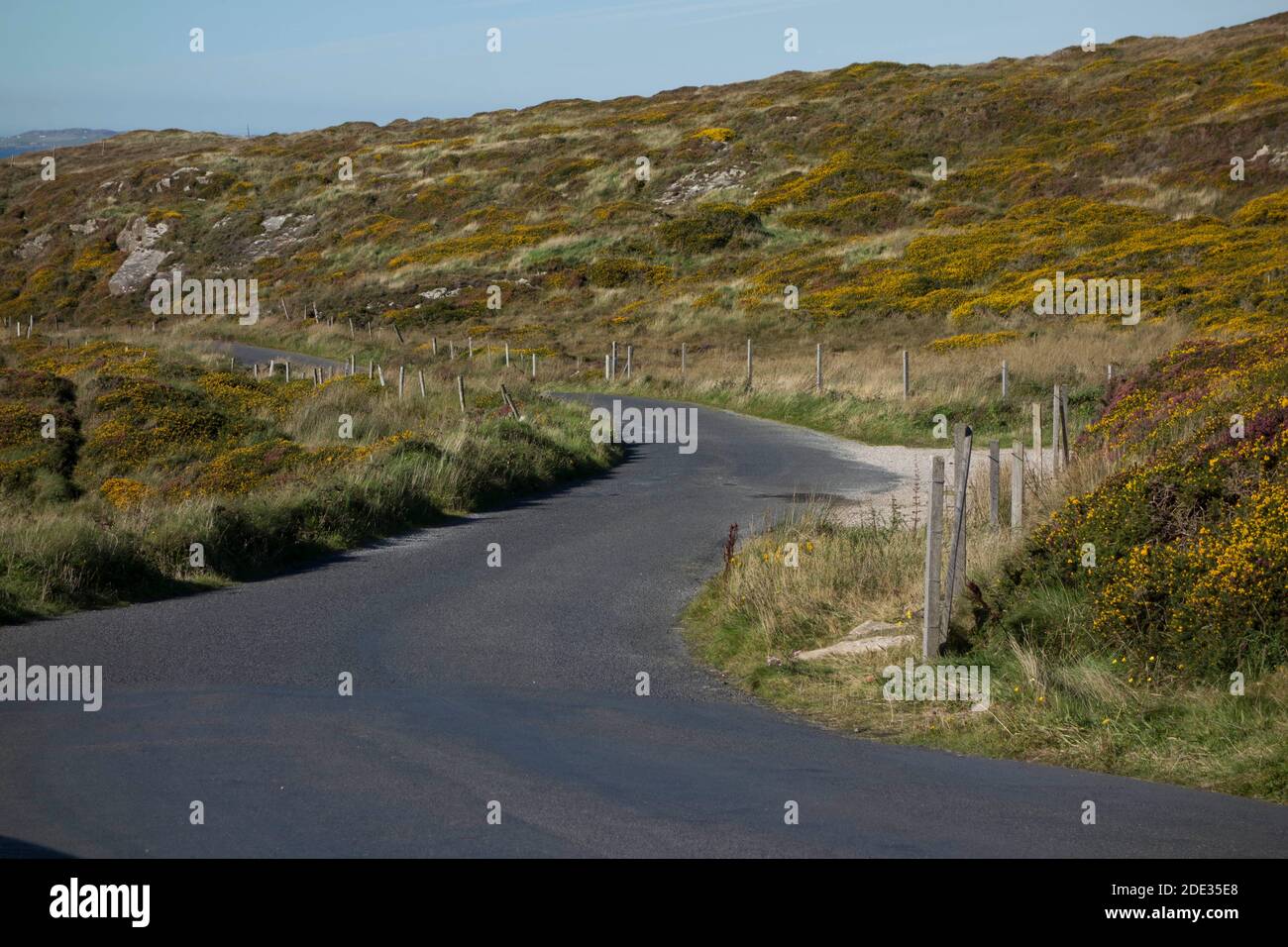 Landstraße oder Landstraße, öffentlicher Straßenverkehr und Transport Stockfoto
