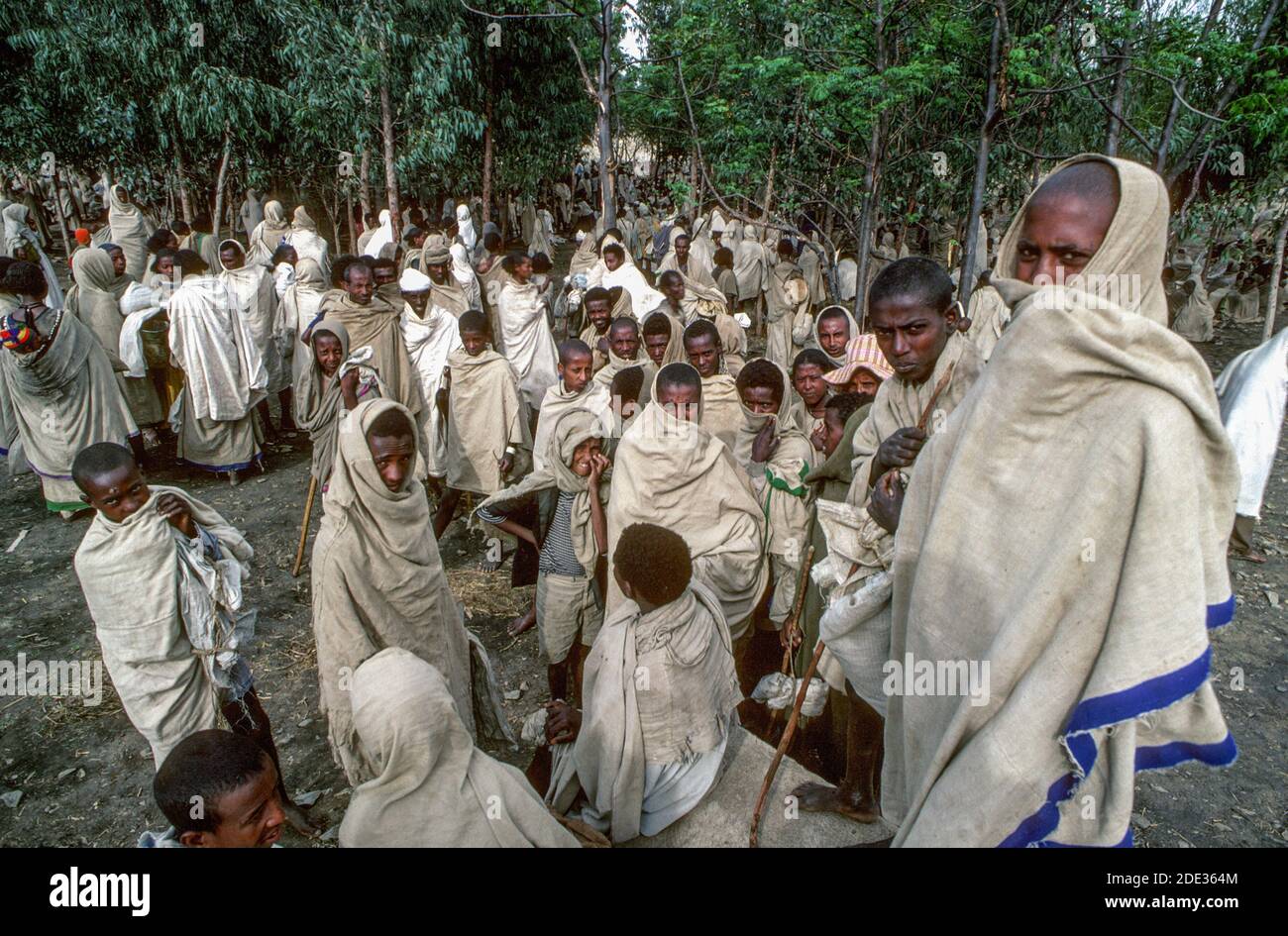 Hungrige Leute warten auf Nahrung in einem Verteilungszentrum in der Nähe von Mekelle. Tigray, Äthiopien Stockfoto