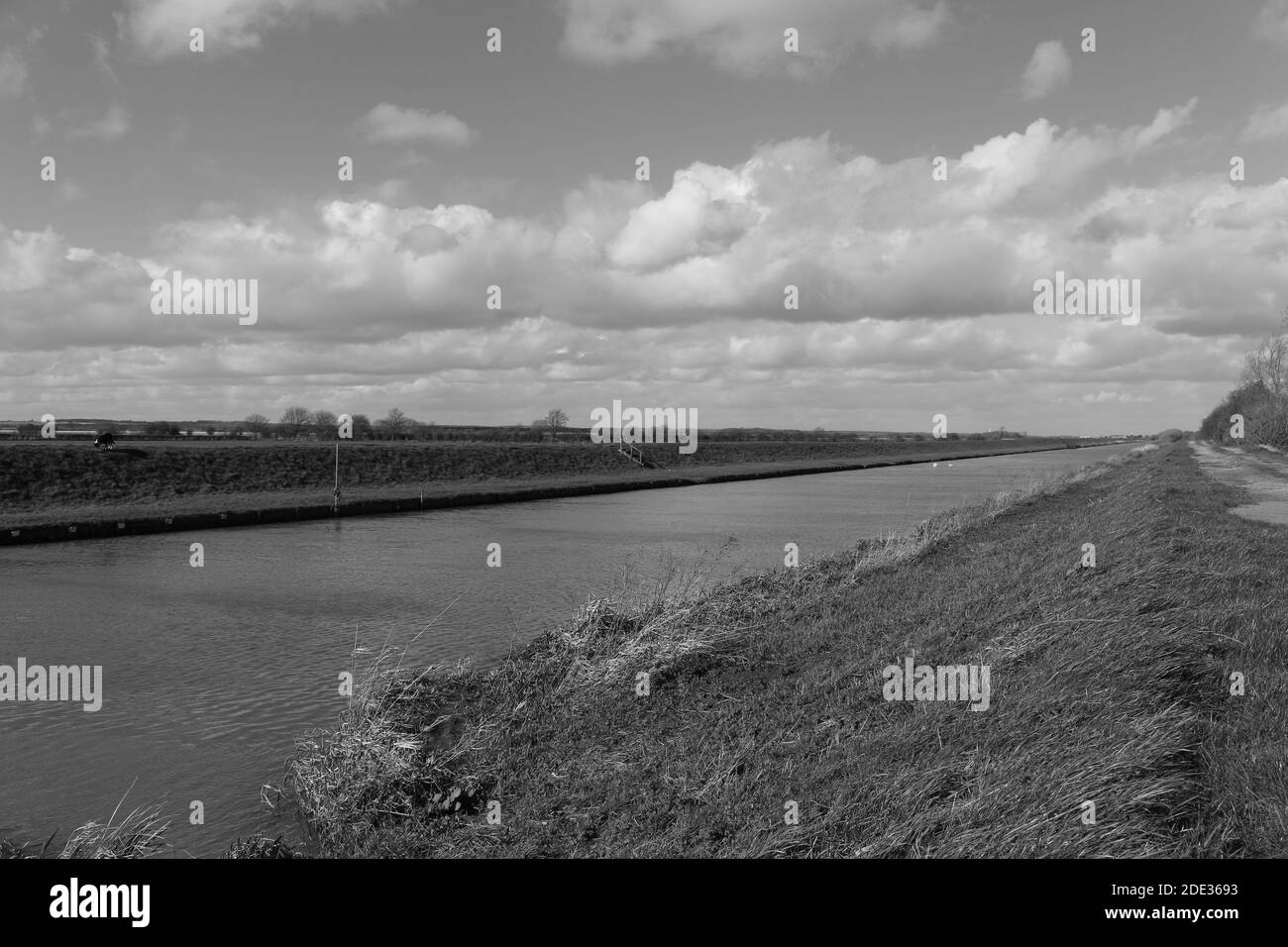 Fluss Ancholme Stockfoto