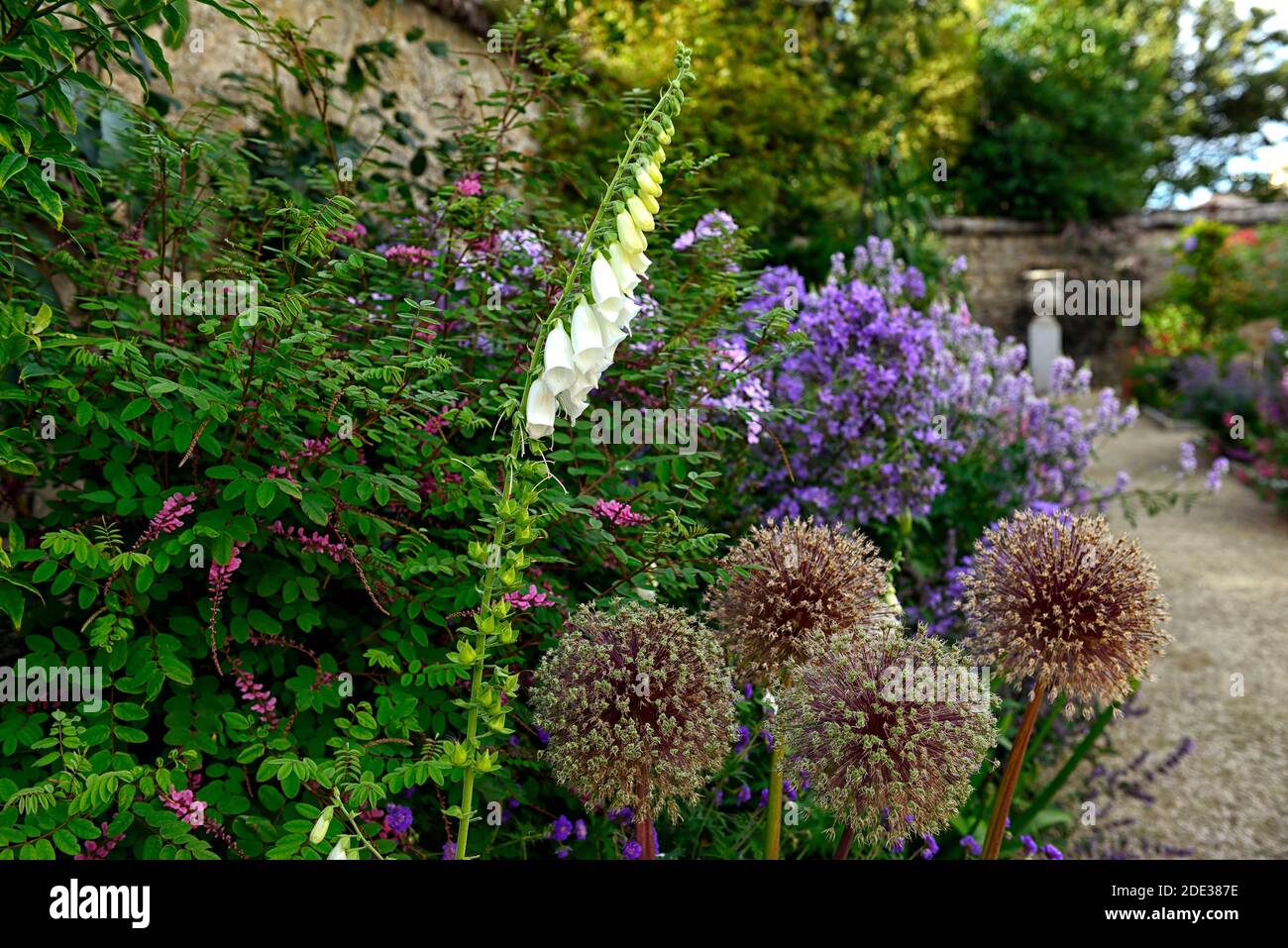 The Dillon Garden, Helen Dillon, Plantswoman, Dun Mhuire, Seafield Ave, Monkstown, Dublin, Irland, Krautigen Grenze, Stauden, üppige Pflanzung Schema, Digita Stockfoto