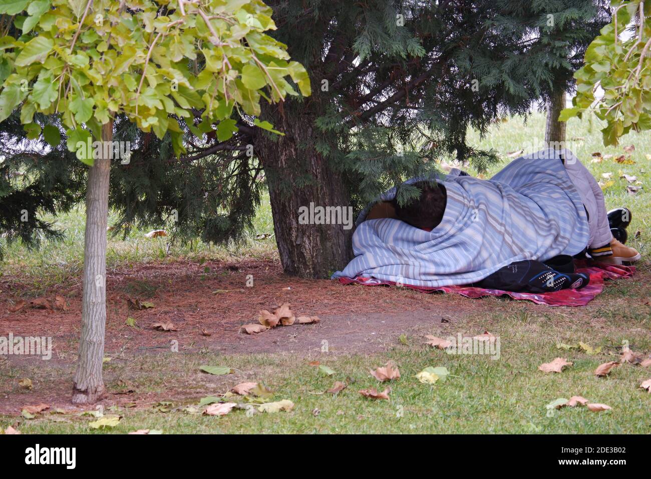 Obdachloser Flüchtling schläft im Park Stockfoto