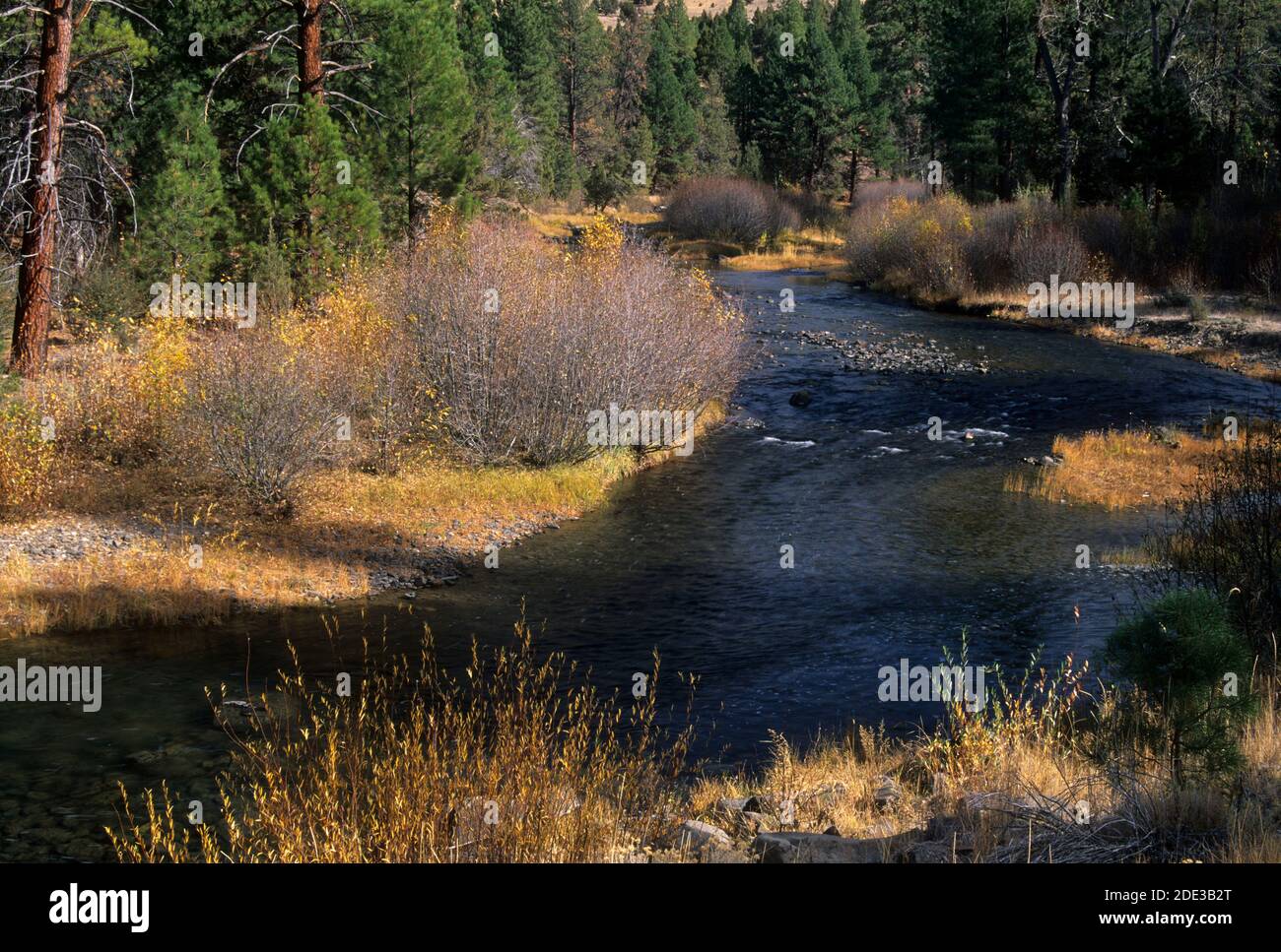 Chewaucan River, Fremont National Forest, Oregon Stockfoto