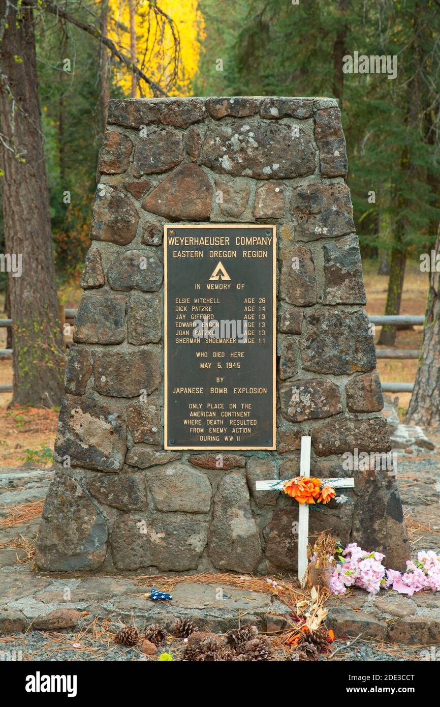 Mitchell Monument, Mitchell Monument, Historische Stätte, Fremont National Forest, Oregon Stockfoto