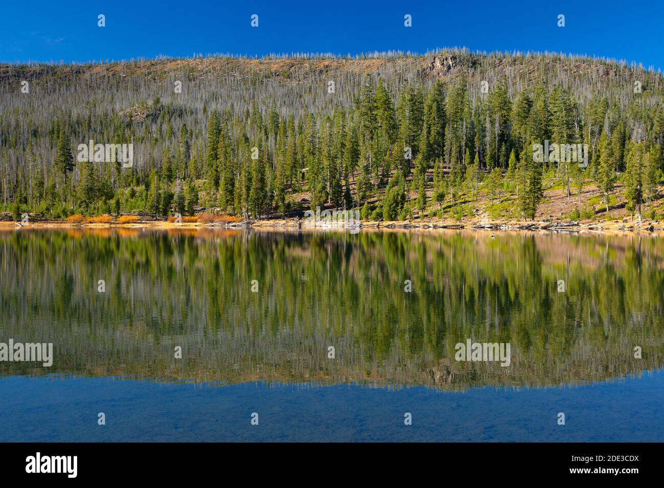 Campbell Lake, Fremont National Forest, Oregon Stockfoto