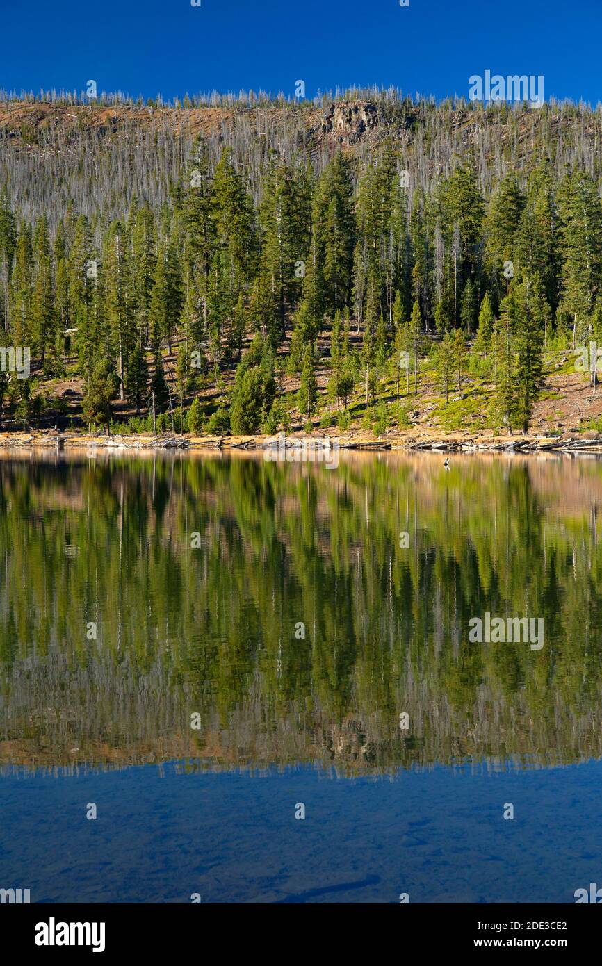 Campbell Lake, Fremont National Forest, Oregon Stockfoto