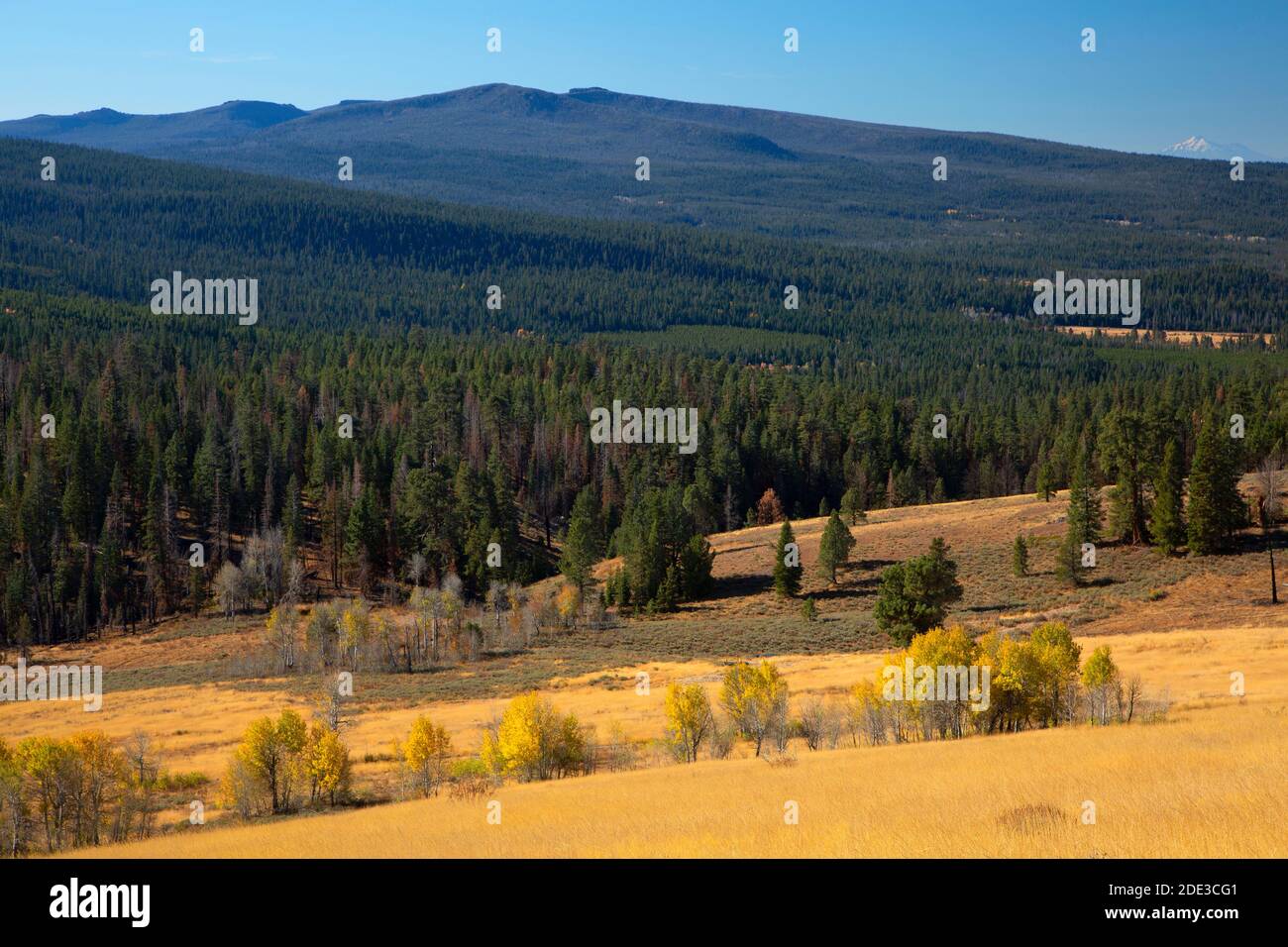 Blick auf Glatze Butte, Fremont National Forest, Oregon Stockfoto