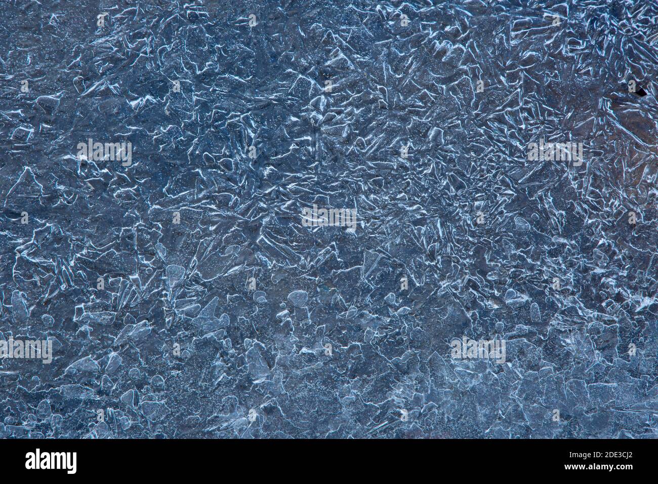 Stream Ice, Fremont National Forest, Oregon Stockfoto