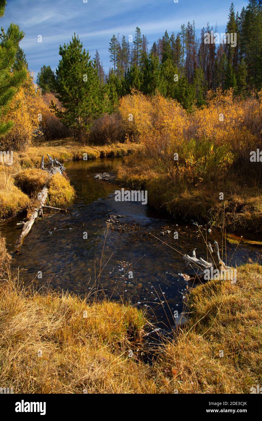 Sycan Wild und Scenic River im Hannan Campground, Fremont National Forest, Oregon Stockfoto