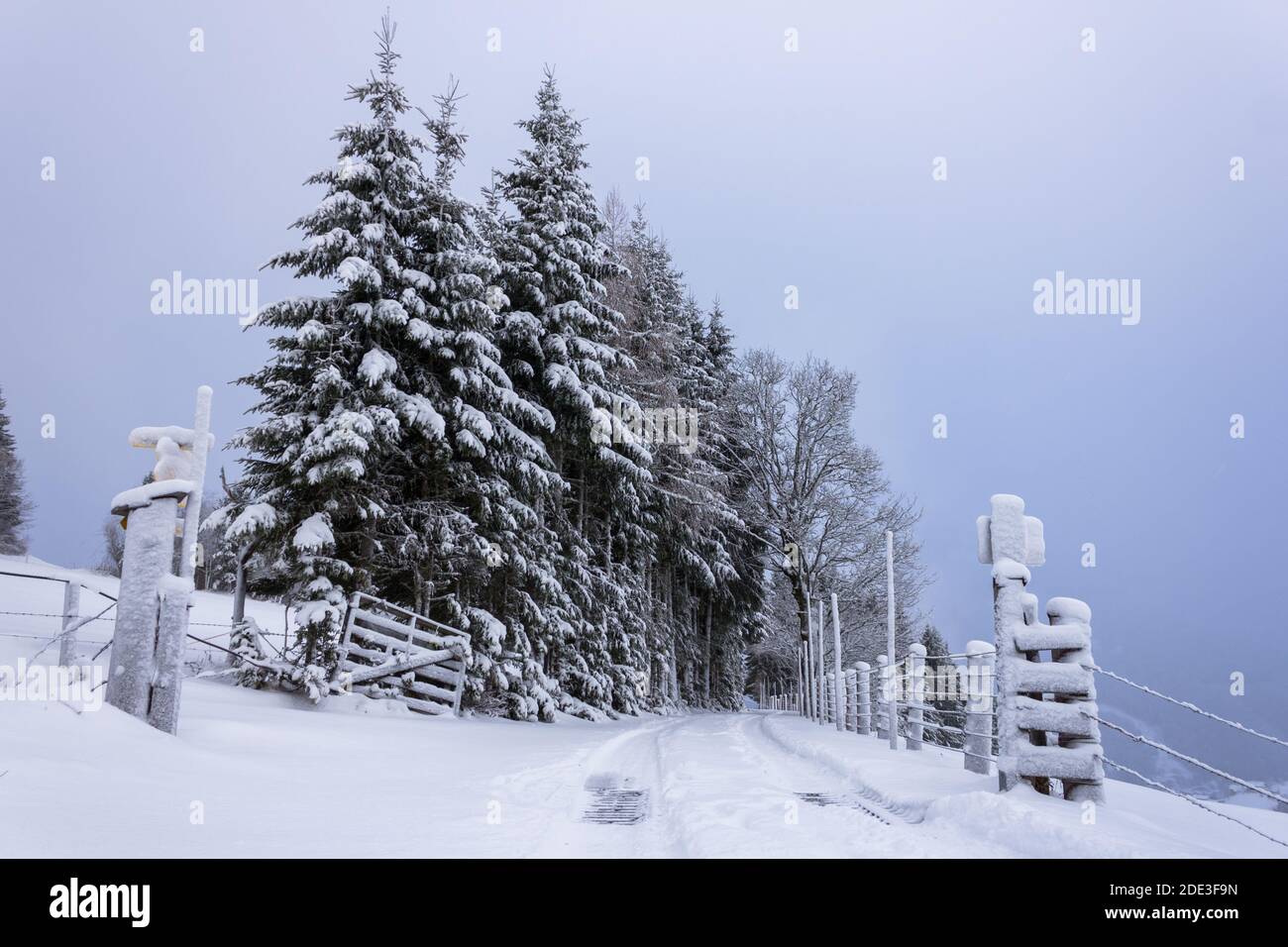 Ländliche Landstraße in einer verschneiten Landschaft in den österreichischen alpen (Filzmoos, Salzburger Land) Stockfoto