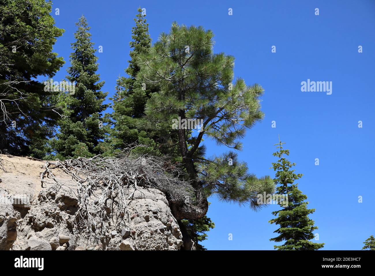 Donner Summit, Kalifornien Stockfoto