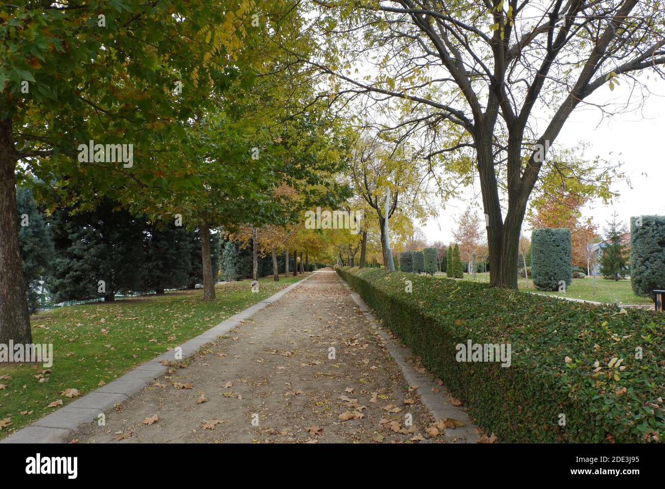 Spaziergang im Herbst Stockfoto