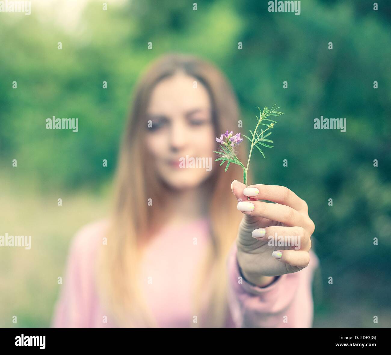 Junge kaukasische Dame in rosa Pullover hält kleine gezupft Blume auf ihren Händen während des Gehens Stockfoto